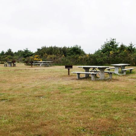 Griffiths-Priday day use grass picnic tables 