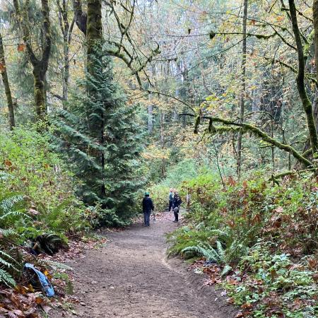 Kopachuck Trails people walking in forest autumn 