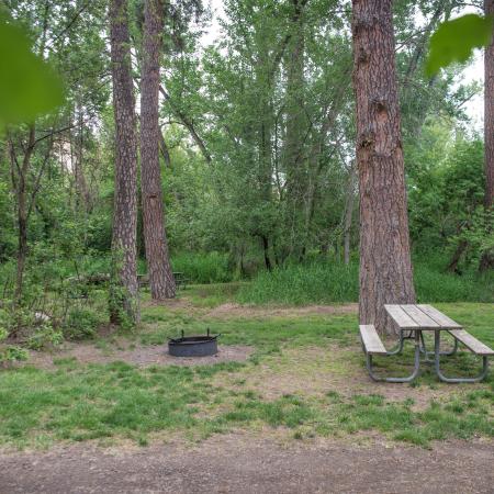 A picnic table sitting on patchy green grass next to a fire pit, tall trees and green bushes 