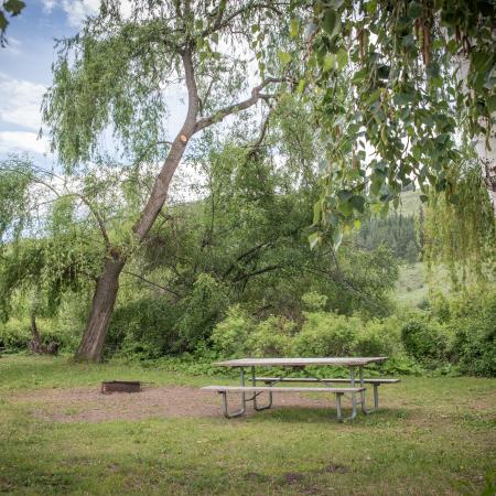 Picnic table and fire pit sit on green grass surrounded by full, green trees and shrubs