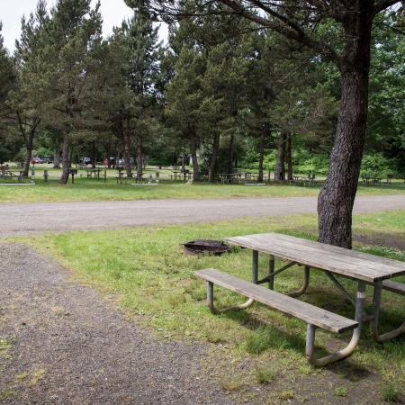 Twin Harbors camping area grassy fields and trees 