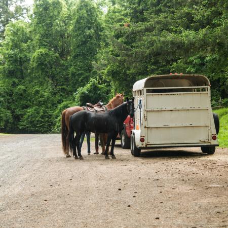 Horses and their trailer at Battle Ground State Park.