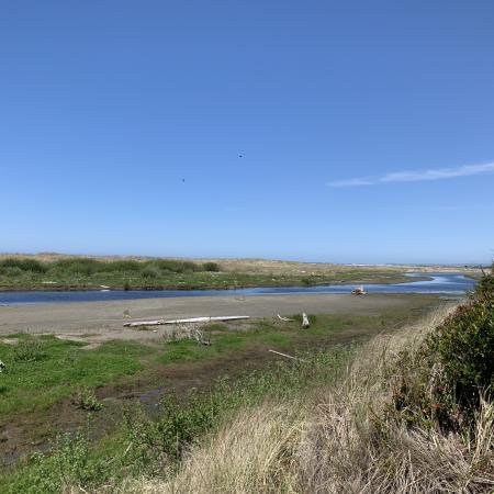 Griffiths-Priday trail view river to the ocean sandy shores wetlands