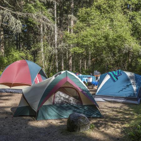 Three multicolored tents are nestled into a campsite surrounded by trees