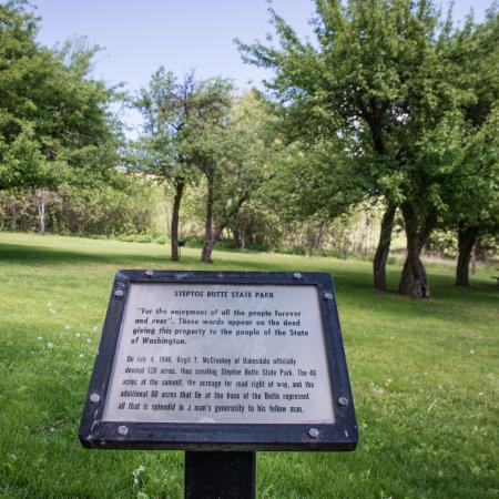 An interpretive sign sits in a grassy lawn with full, green trees and shrubs in the background. A picnic table sits alone under a tree. 