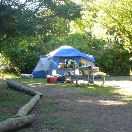 primitive campsite with pitched tent of blue surrounded by trees