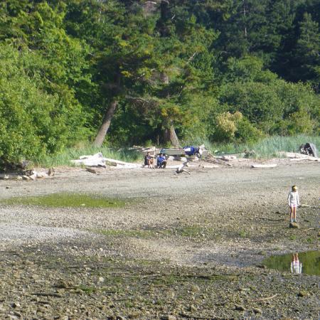 shore of island with people sitting on drift log and child at waters edge
