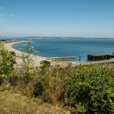 Standing on grass, looking over green bushes at the water with the large dock and boat launch. A sandy beach curves along the water in the distance. 