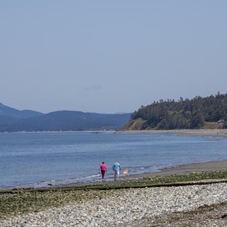 A couple walk a dog along the sandy beach with treed hills and a blue sky in the background. 
