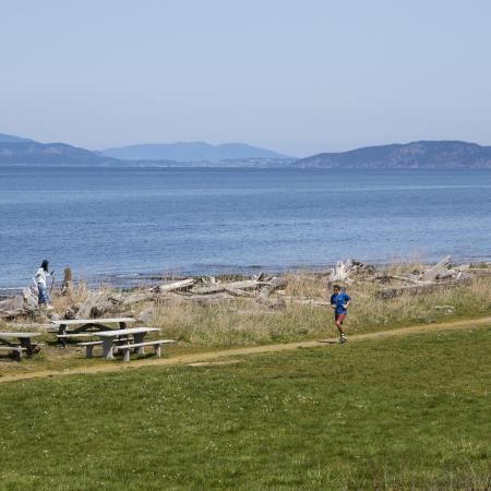 A jogger running on a dirt trail near a grassy lawn. Another person walking along the driftwood close to the water's edge. Mountains and a hazy sky are seen in the background.