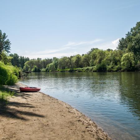 A red kayak sits on the sandy beach next to a river with small ripples reflecting the green trees and blue sky. Tall, green grass lines the edge of the sandy beach. 