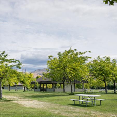 Deciduous trees wave in the wind on a green lawn. A picnic table sits in the foreground.