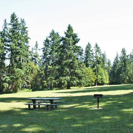 Picnic tables and grills around the historic Parade Grounds. 