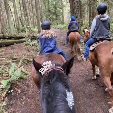 people riding horses down a trail, horse wearing a happy new year hat