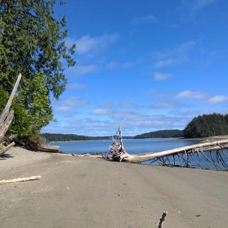 Hope Island beach