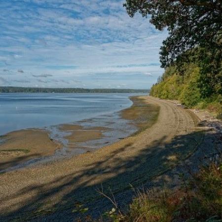 Joemma Beach with water and sand