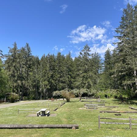 Jarrell Cove camping sites nestled in an orchard. Beautiful blue sky, white clouds and tall tree surrounding the orchard