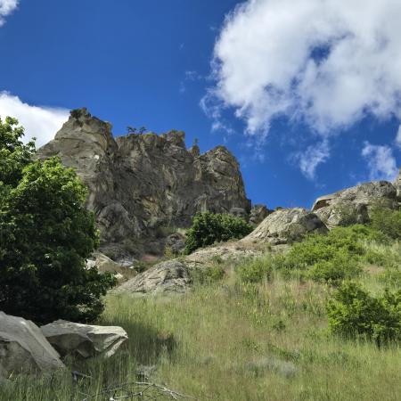 A grassy meadow with a large rock formation in the background