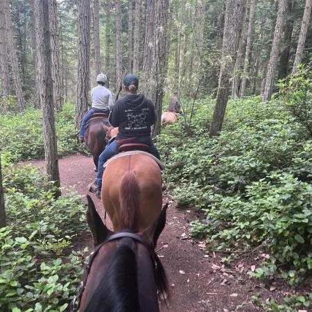 Three equestrian riders sit atop dark brown and tan horses, walking on a dirt trail with green leafy bushes and tall trees surrounding them. 
