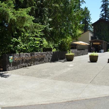 Large -wide sidewalk leading to entry of the Mount St. Helens Visitor Center