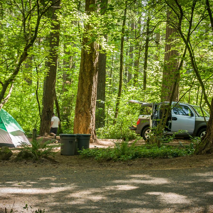 A camper setting up camp in a standard site at Battle Ground Lake State Park.