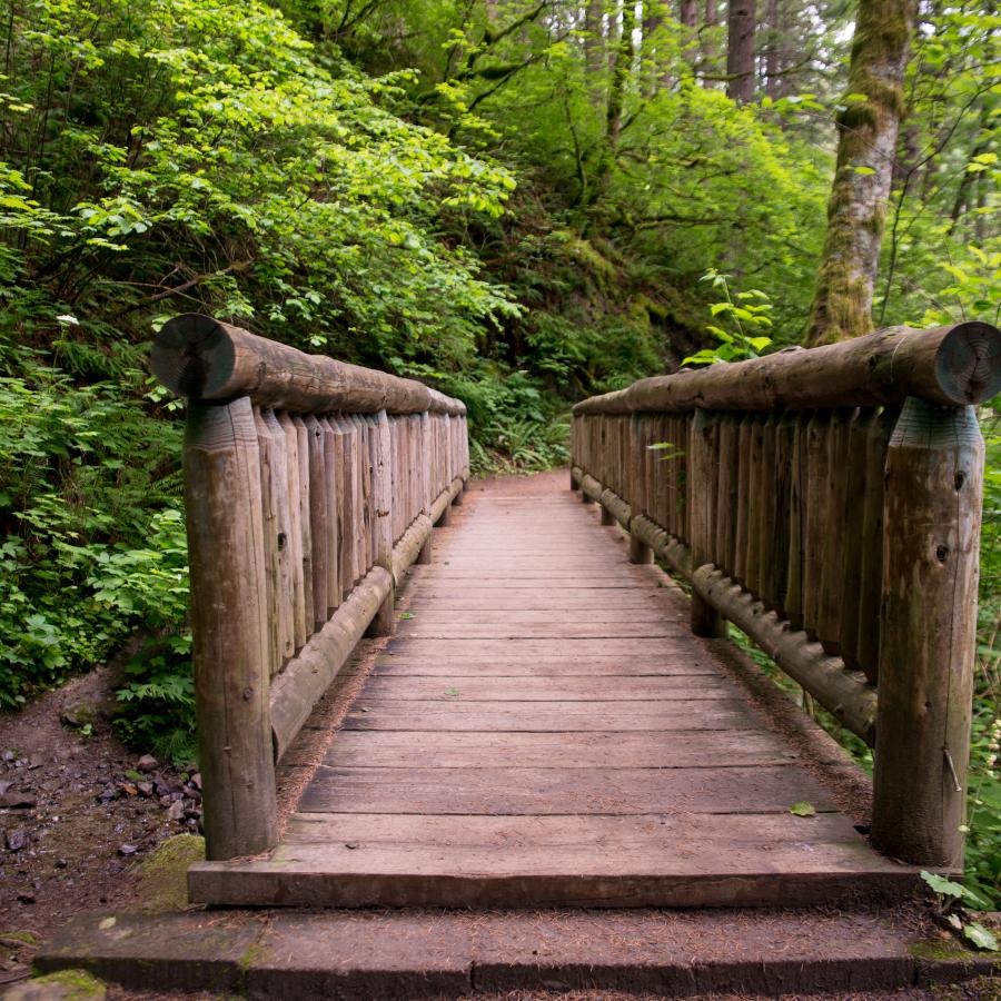 A bridge on the trail at Beacon Rock State Park.
