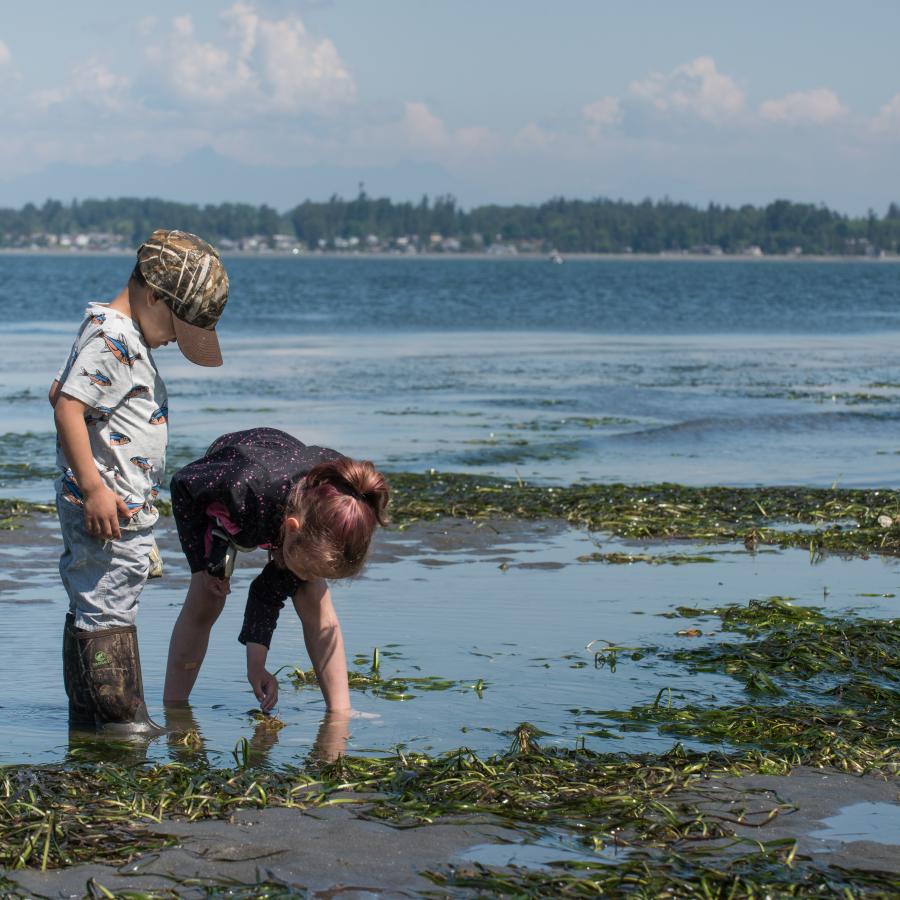 Children playing on the beach during low tide