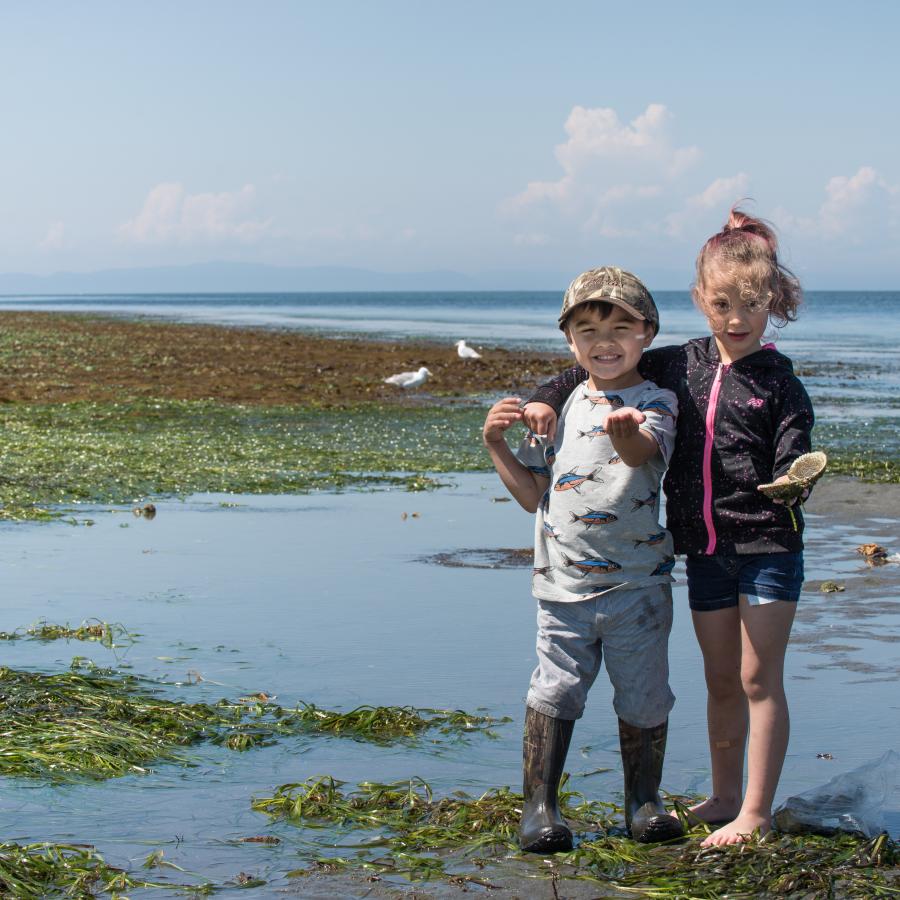 Children playing on the beach during low tide