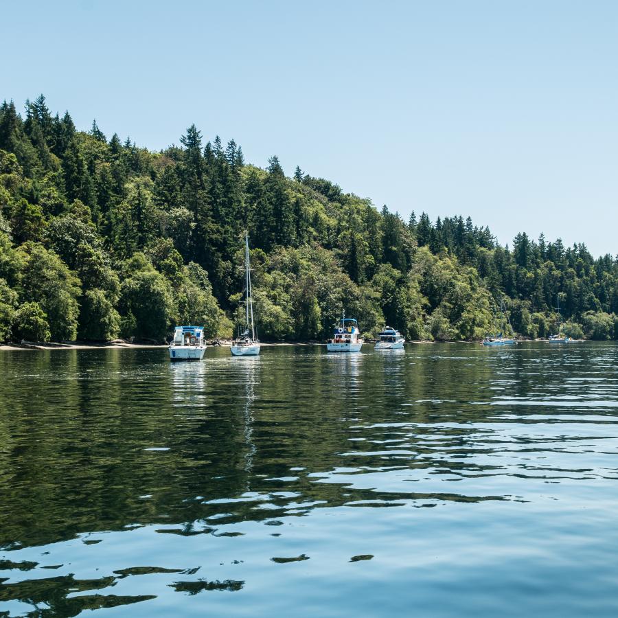 Blake Island shore with buoyed boats, forests, Puget Sound 