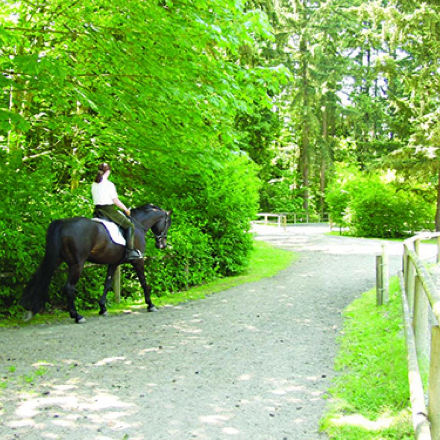 Bridle Trails State Park Person on Horse