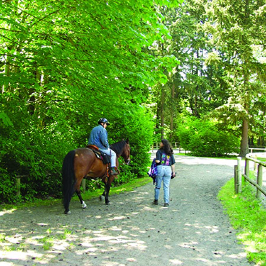 Bridle Trails State Park Horse Rider and Walker