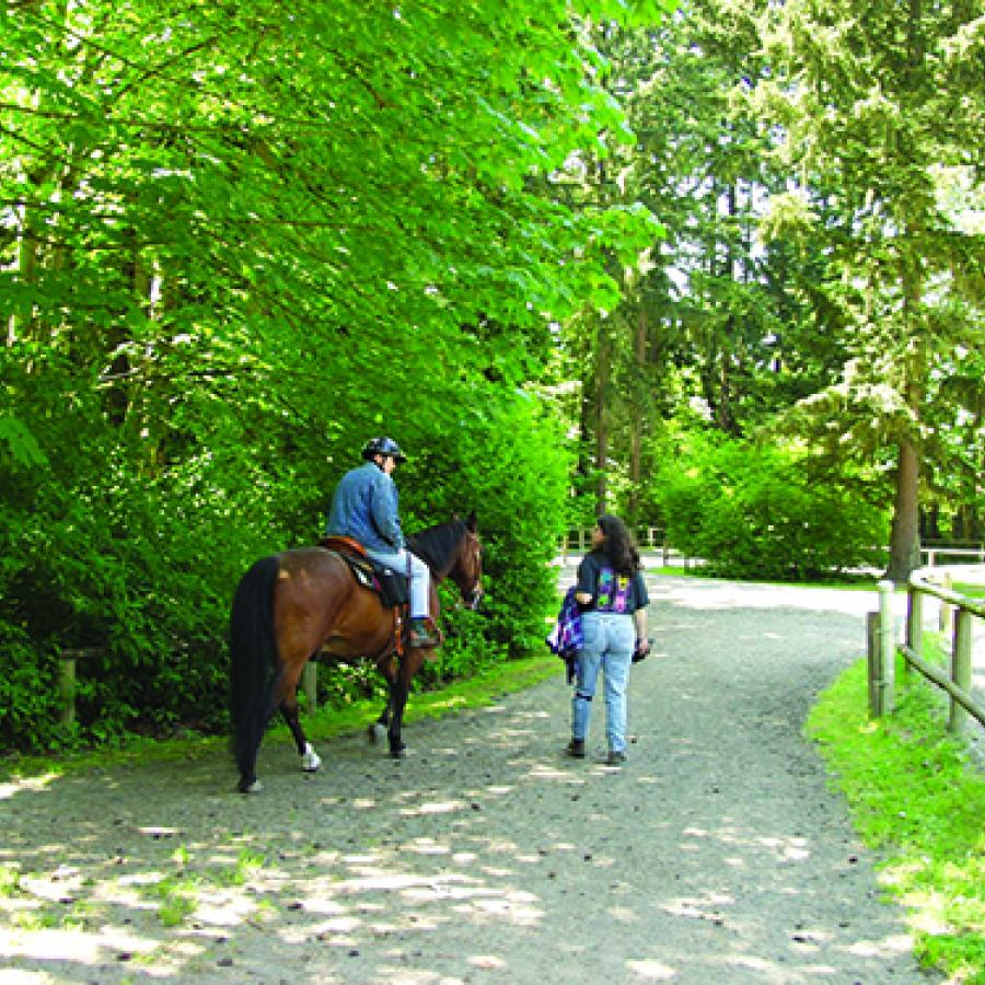 Bridle Trails State Park