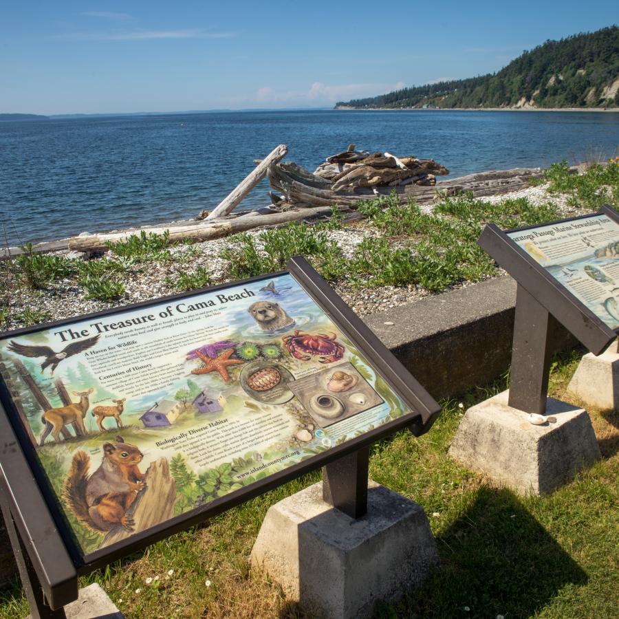 Image of two interpretive signs overlooking the water at Cama Beach. 