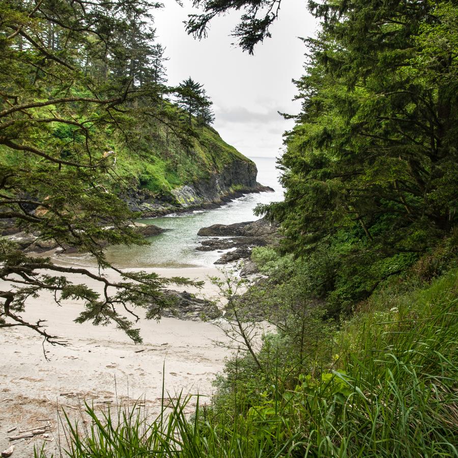 Dead Man's Cove surrounded by trees, cliffs, and a small beach area. 