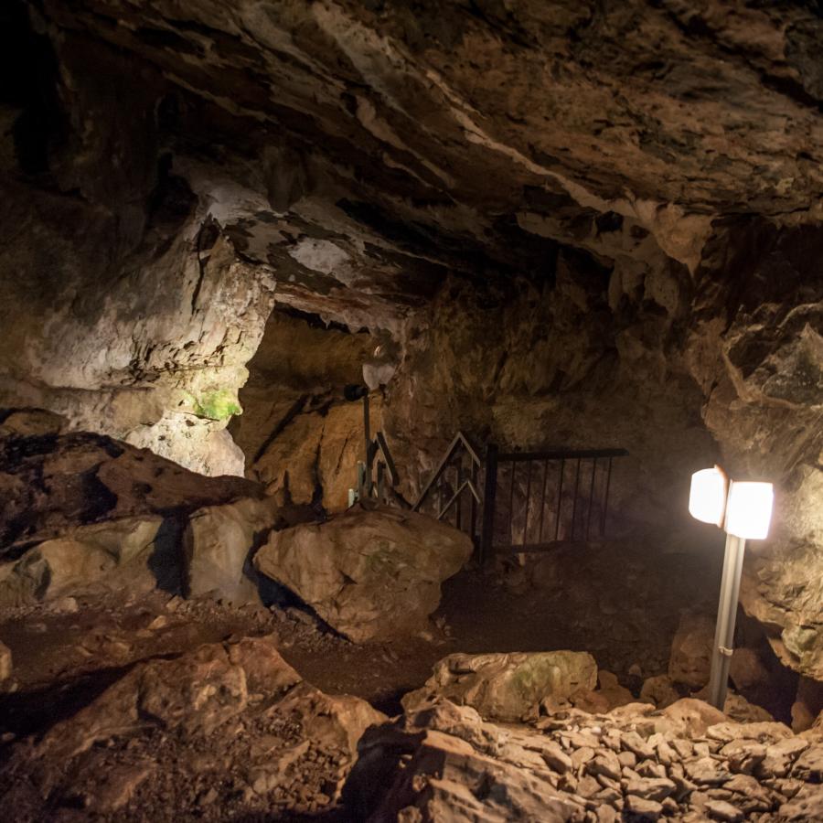 The interior of the cave is lit with two bright lights and a narrow pathway leads to a stairwell going deeper into the cave.