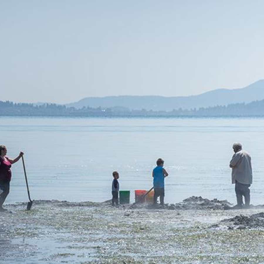A family clamming at low tide