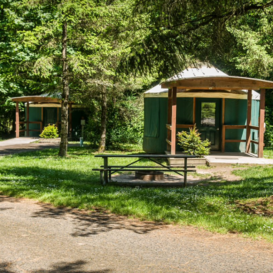Paradise Point Yurts with trees