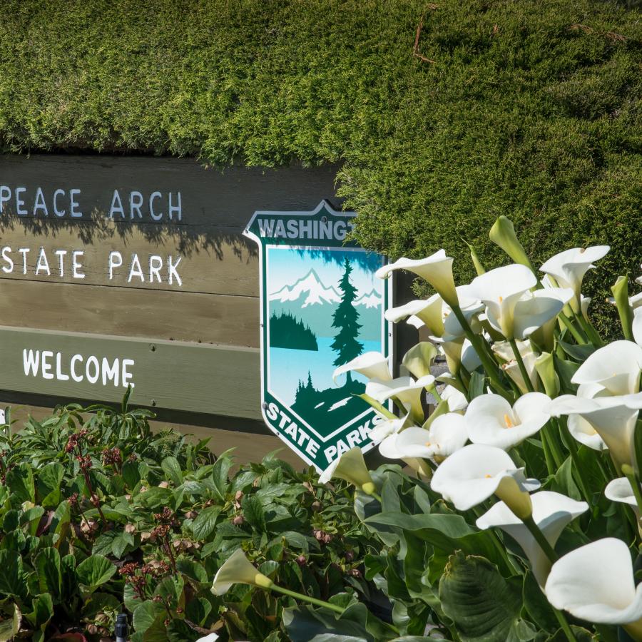 Entrance sign for Peace Arch State Park surrounded by white calla lilies