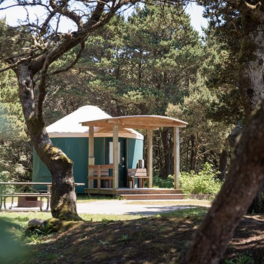 Twin Harbors Yurt in with trees