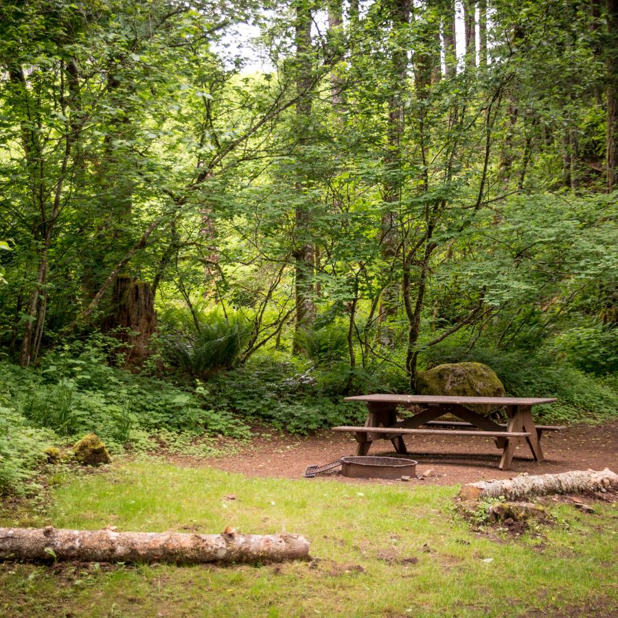 Campsite with a bench and fire pit, surrounded by rocks and trees.
