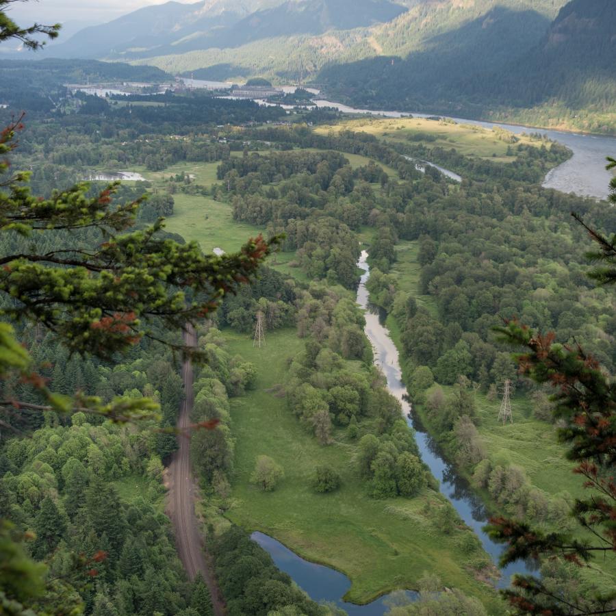 The view from Beacon Rock showing the Columbia River with tree filled hills surrounding it. 