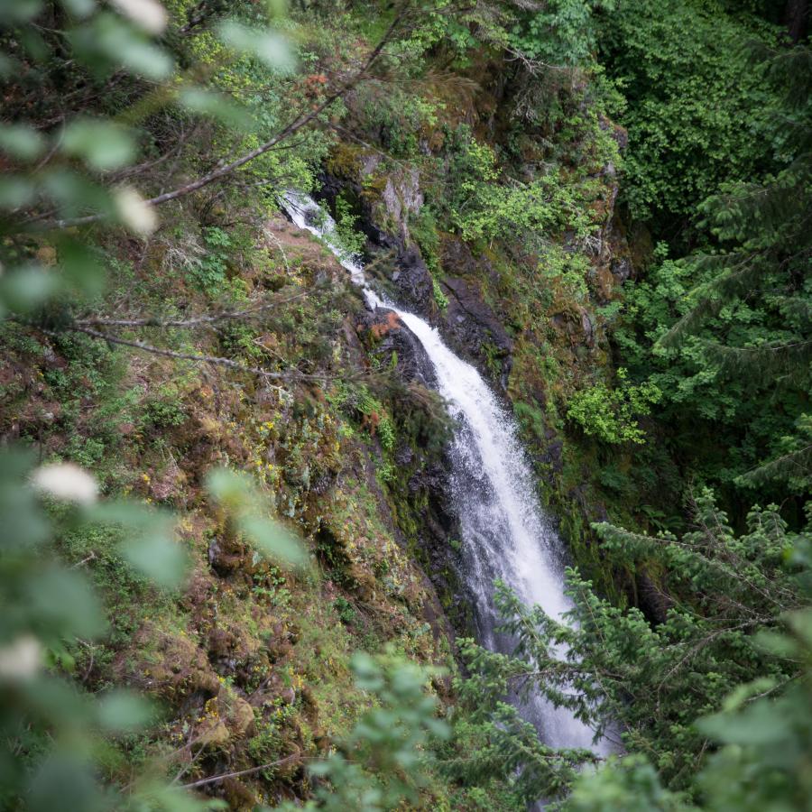 Waterfall at Beacon Rock State Park.