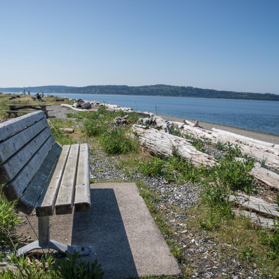 Bench along the water at Camano Island State Park. Green plants area visible as well as driftwood along the beach. 
