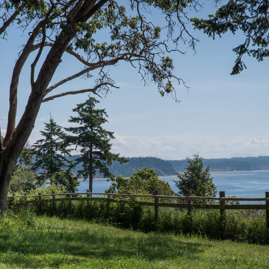 View of the Saratoga Pass at Camano Island State Park with a large tree on the left hand side in the forefront, mowed grass along the forefront of the photo, a wooden post-fence in the center of the photo, and the Saratoga Pass in the background. The sky is a light blue with some fluffy clouds and it appears to be a sunny day. 