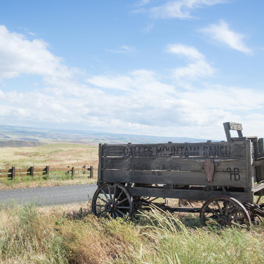rustic weathered old wagon with painted sign on the side in grassy meadow