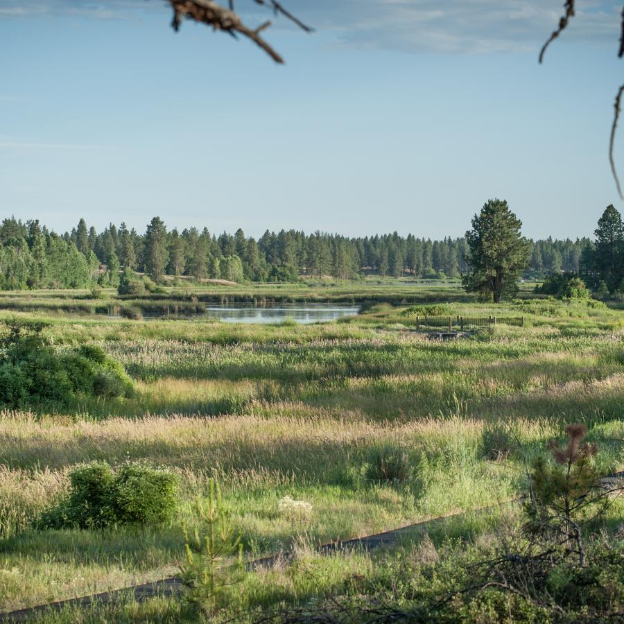 Columbia Plateau Trail - Fish Lake — Washington Trails Association