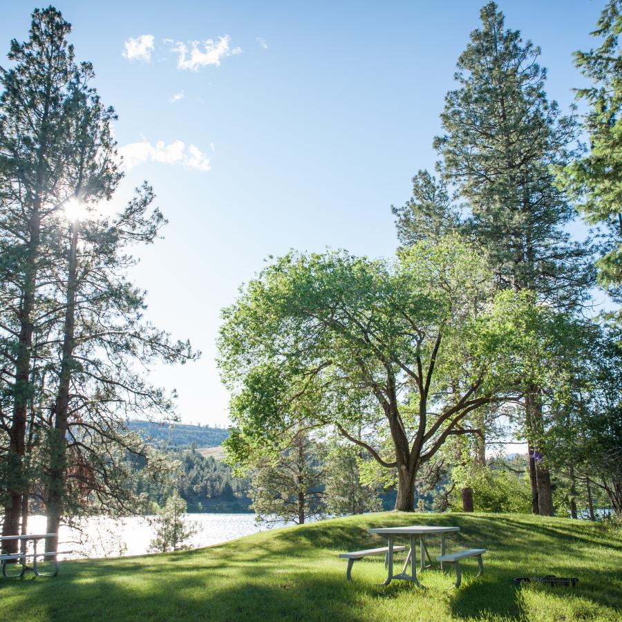 Picnic benches sit on a green grassy hill lined with trees with the lake visible in the distance below.