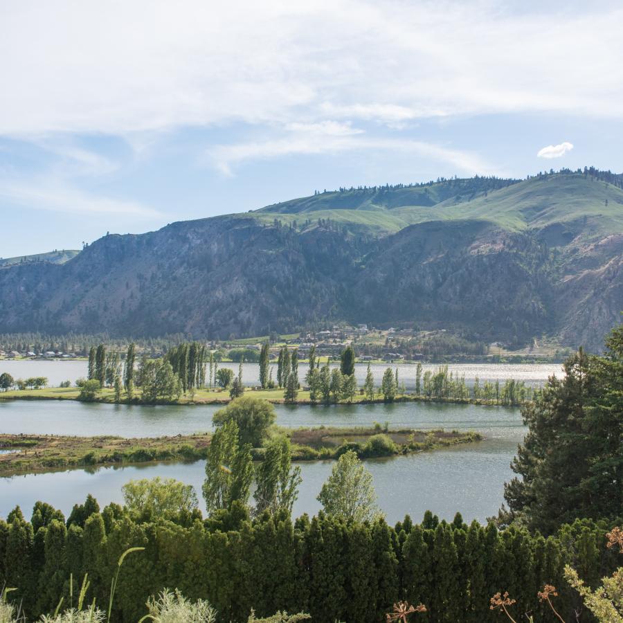 The Columbia River flows beyond trees with a tall mountain rising in the background.