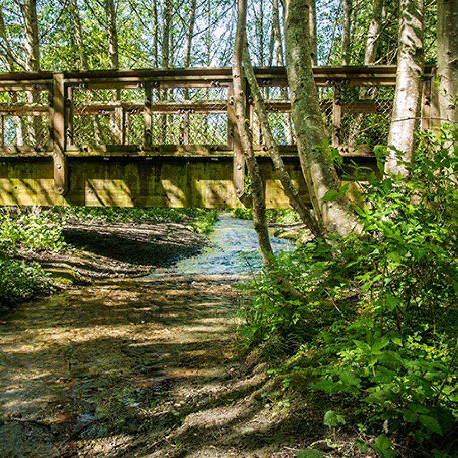 The footbridge over a creek at Dash Point State Park.