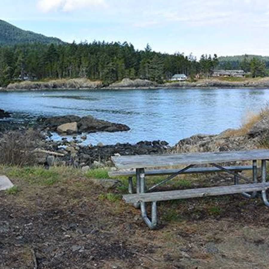Picnic table with a view of a cove